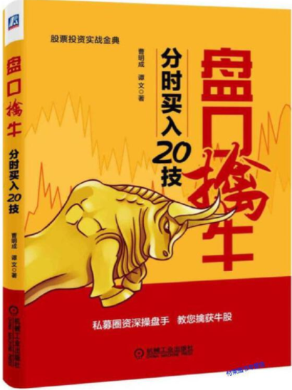 盘口擒牛分时买入20技pdf