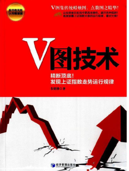 V图技术pdf电子书