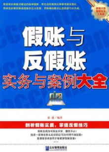 假账与反假账实务与案例大全pdf电子书介绍与下载