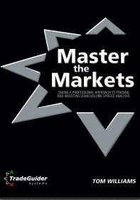 Master the Markets pdf下载